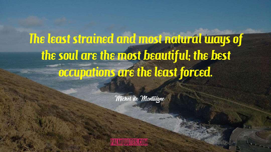 Soul Wisdom quotes by Michel De Montaigne