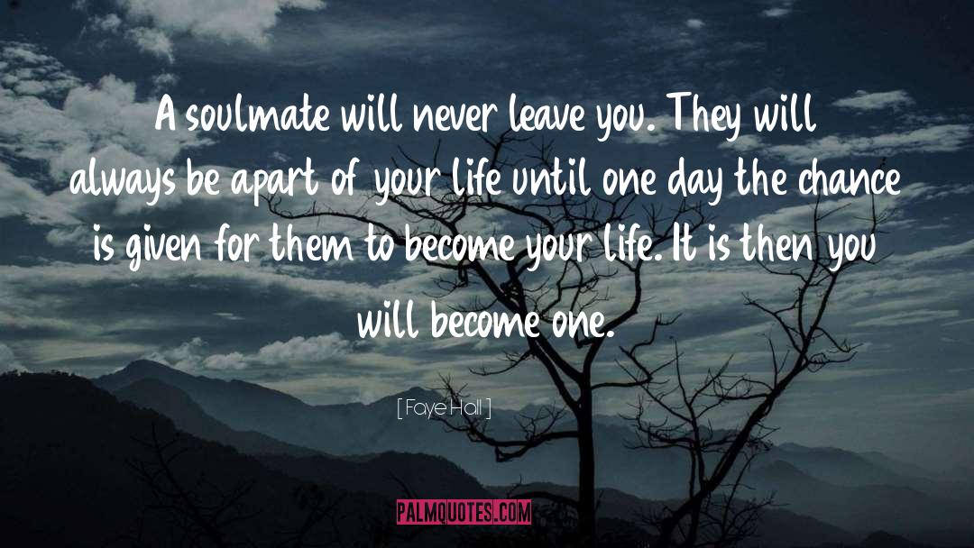 Soulmate quotes by Faye Hall