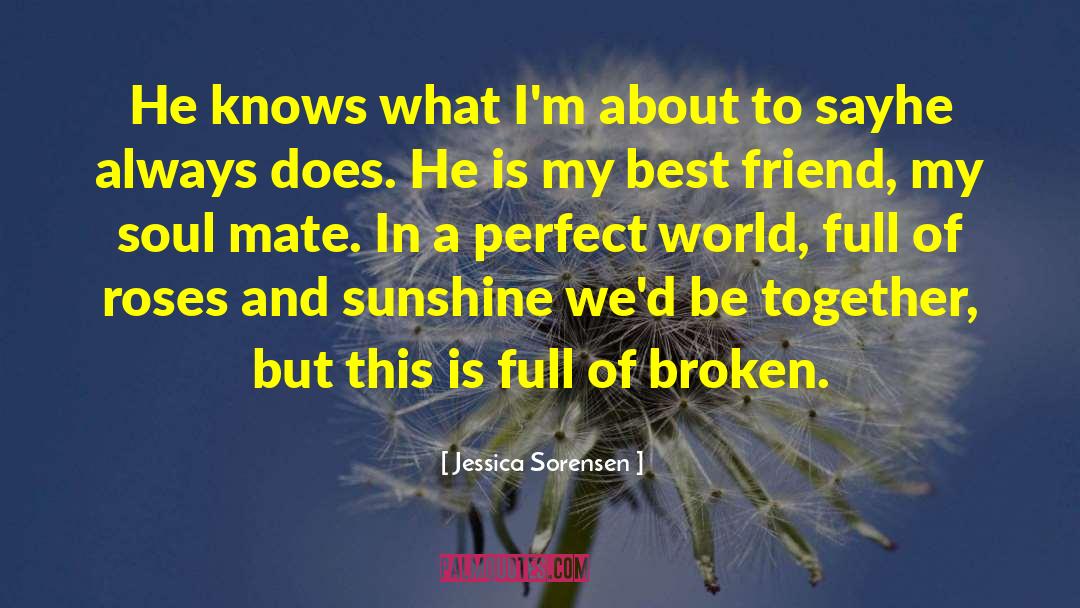 Soulmate Soul Mate quotes by Jessica Sorensen