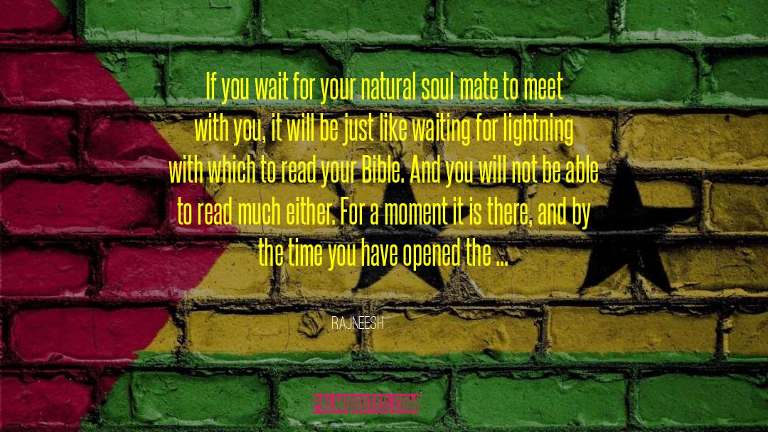 Soulmate Soul Mate quotes by Rajneesh