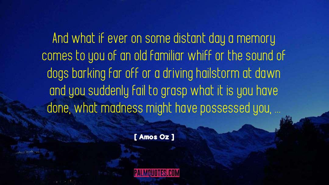 Sound Sleep quotes by Amos Oz