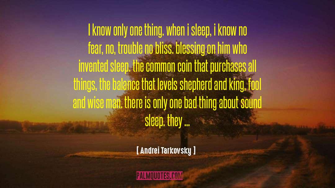 Sound Sleep quotes by Andrei Tarkovsky