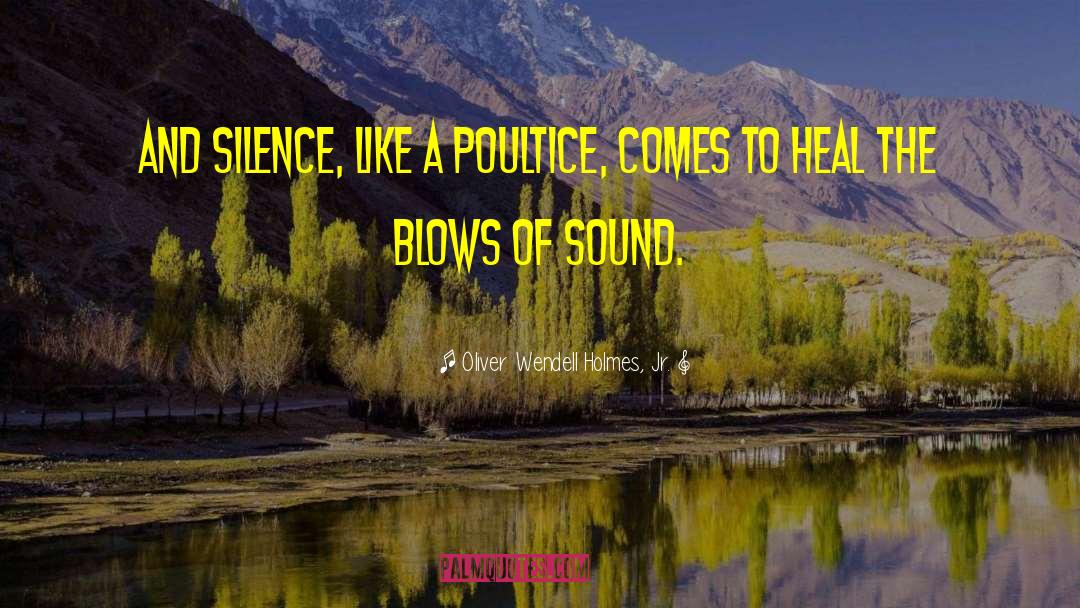 Sounds Of Silence quotes by Oliver Wendell Holmes, Jr.