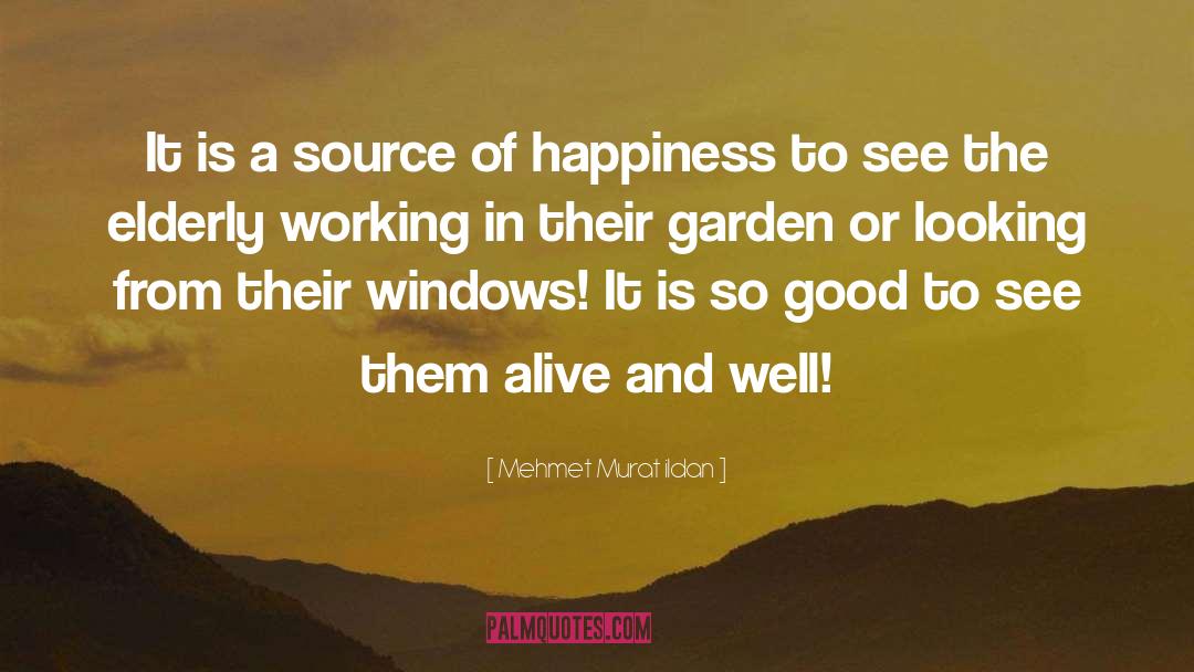 Source Of Happiness quotes by Mehmet Murat Ildan