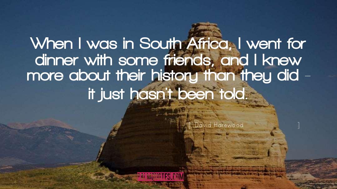 South Africa quotes by David Harewood