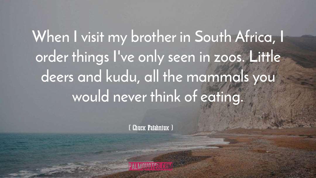 South Africa quotes by Chuck Palahniuk