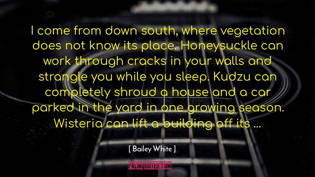 South Asia quotes by Bailey White