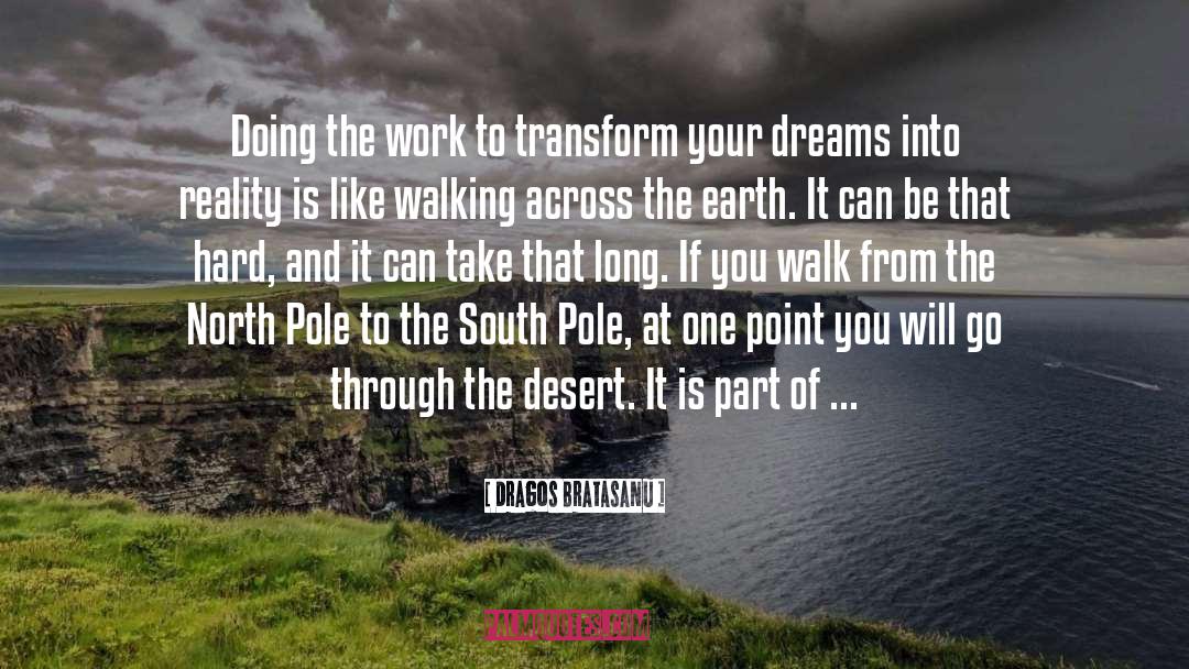 South Pole quotes by Dragos Bratasanu