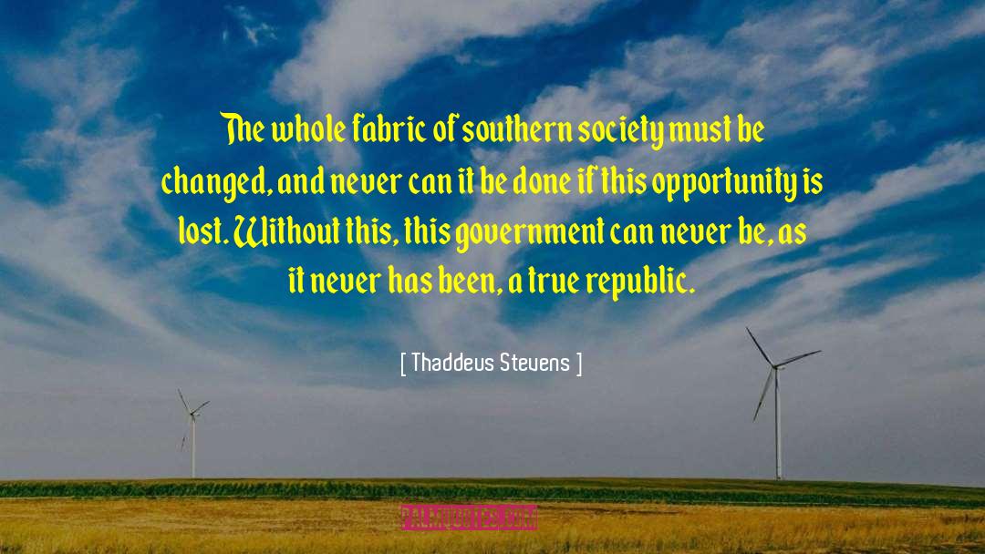 Southern Accent quotes by Thaddeus Stevens