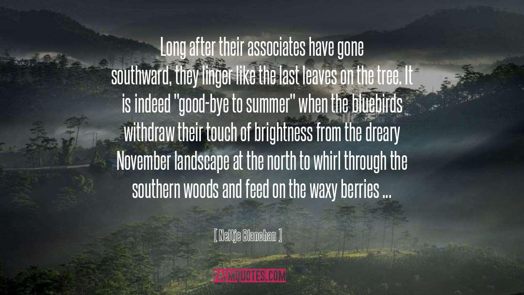 Southern Africa quotes by Neltje Blanchan