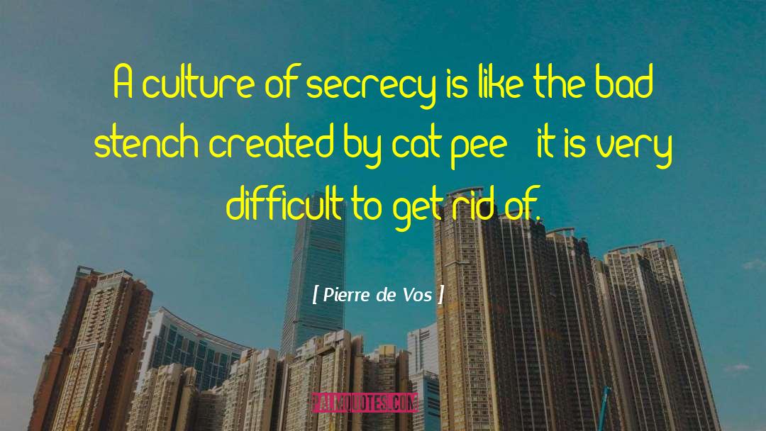 Southern Africa quotes by Pierre De Vos