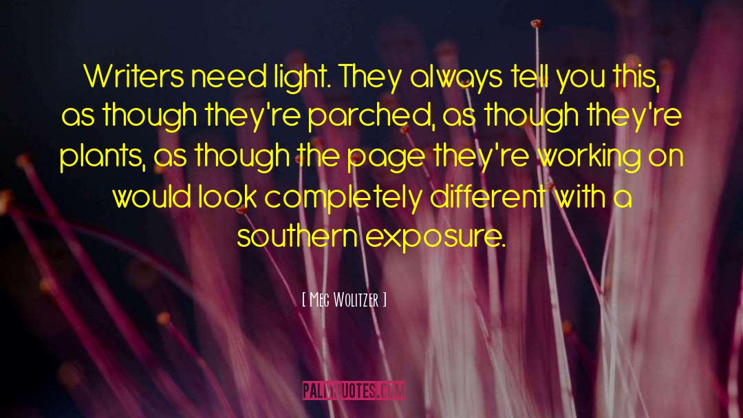 Southern Drawl quotes by Meg Wolitzer