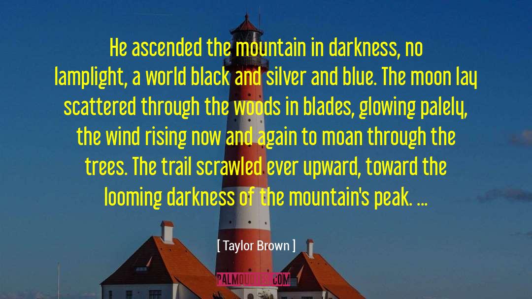 Southern Fiction Southernlit quotes by Taylor Brown