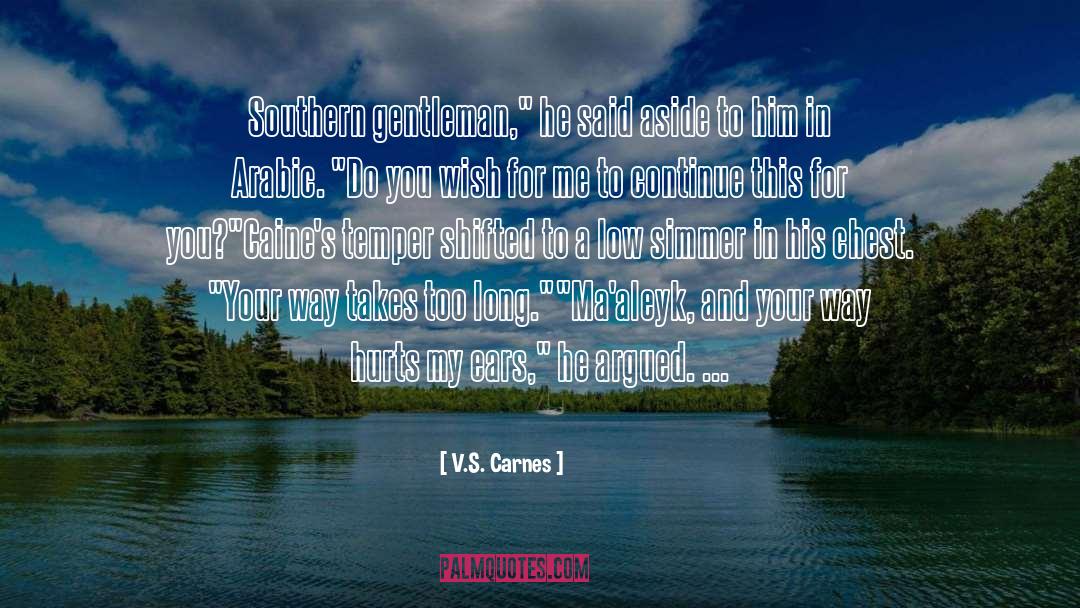 Southern Gentleman quotes by V.S. Carnes