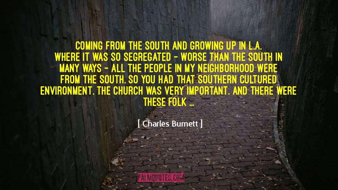 Southern Gentlemen quotes by Charles Burnett