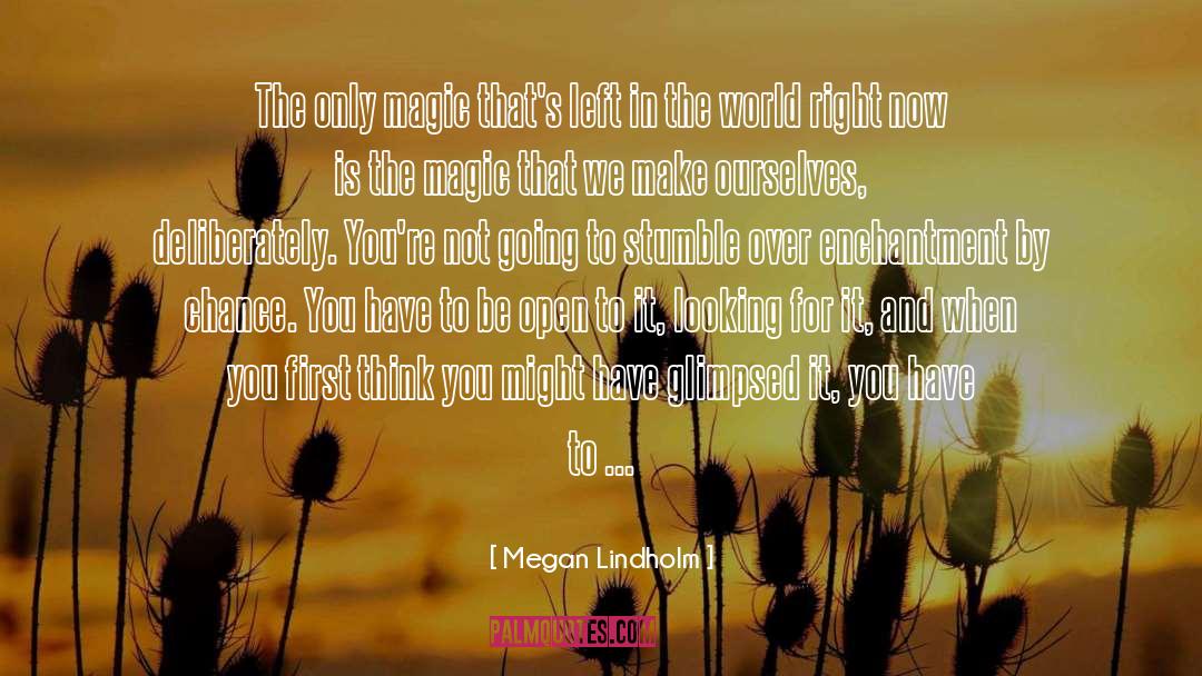 Southern Magic Luncheon quotes by Megan Lindholm