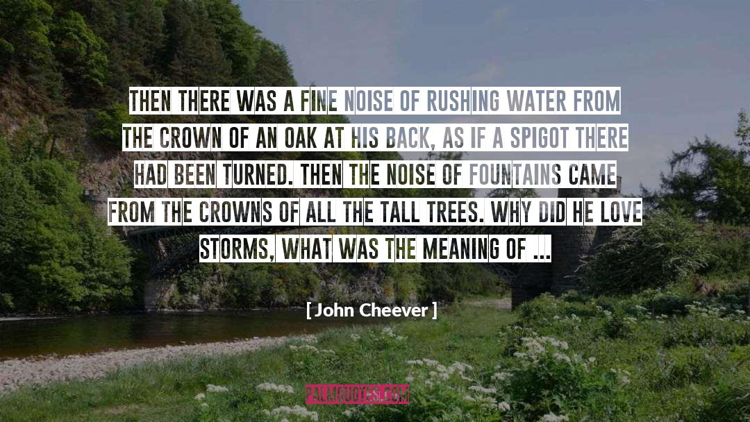 Southern Storms quotes by John Cheever