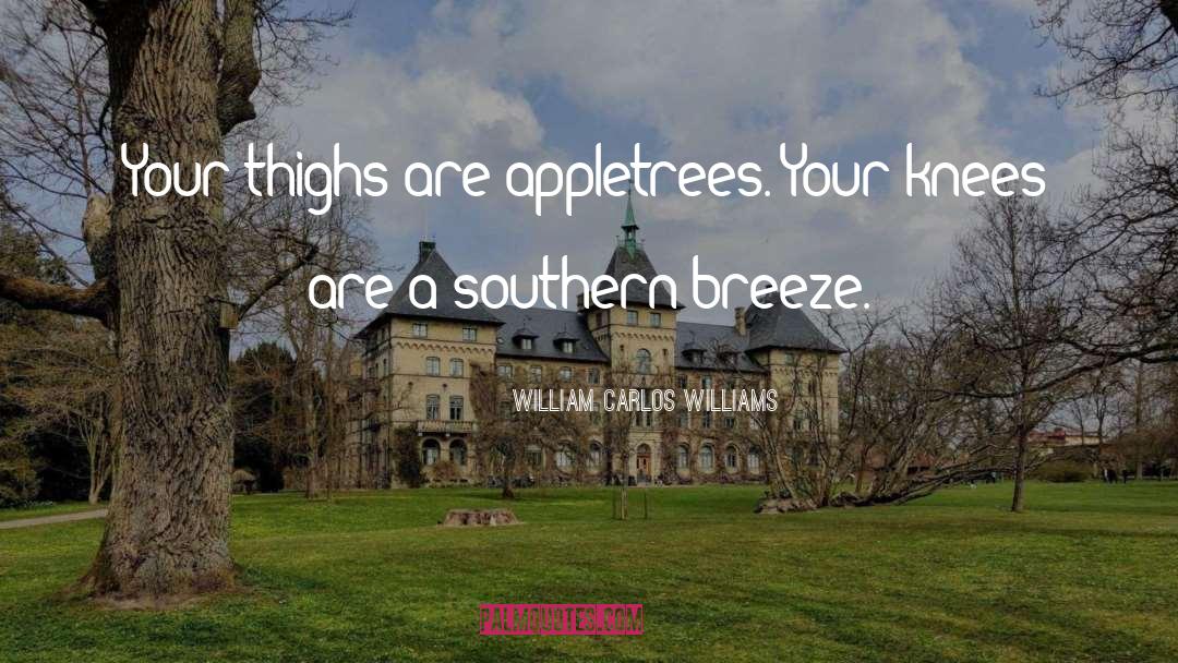 Southern Summer quotes by William Carlos Williams
