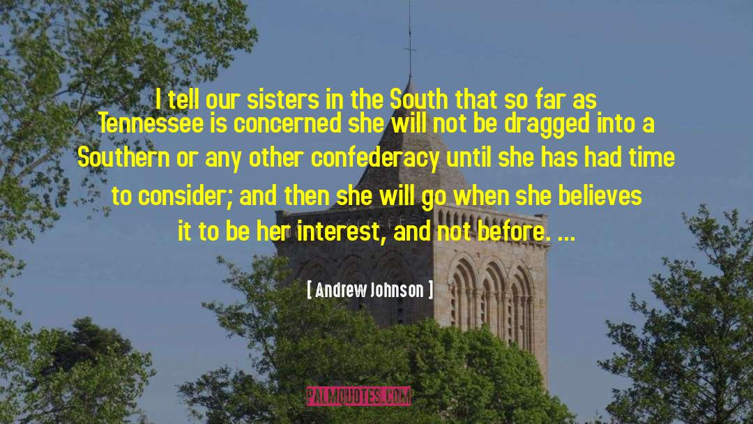 Southern Upbringing quotes by Andrew Johnson