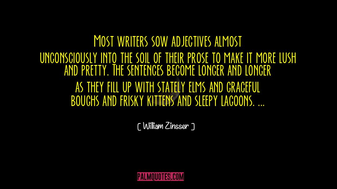 Southern Writers quotes by William Zinsser