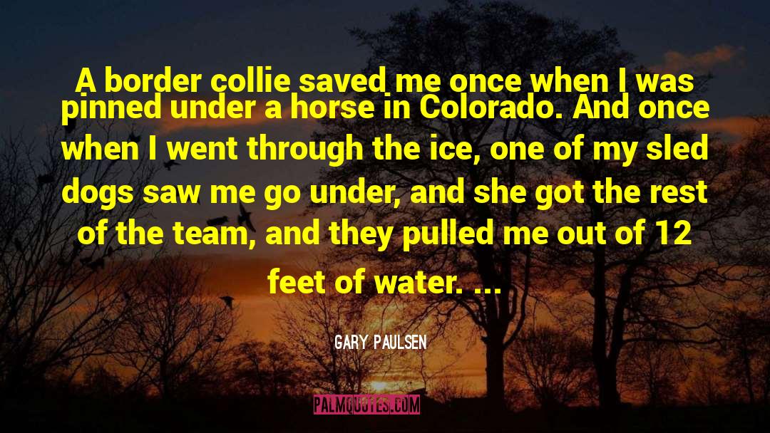 Sovani Water quotes by Gary Paulsen