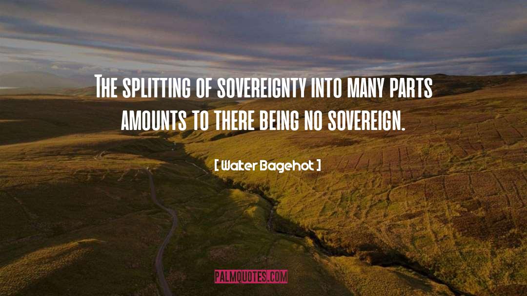 Sovereign quotes by Walter Bagehot