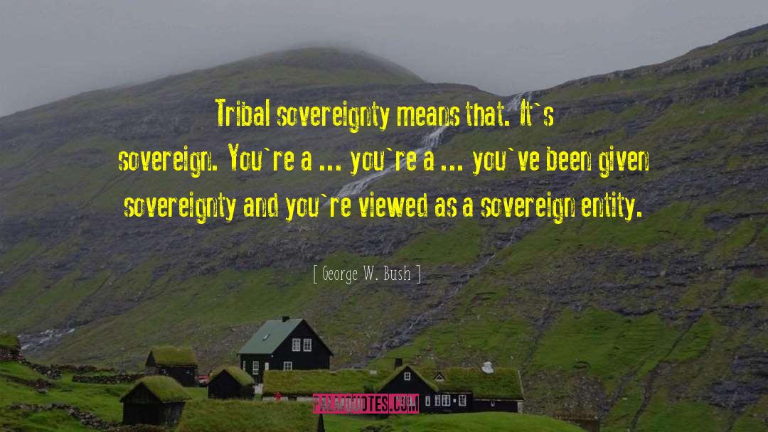 Sovereignty Means quotes by George W. Bush