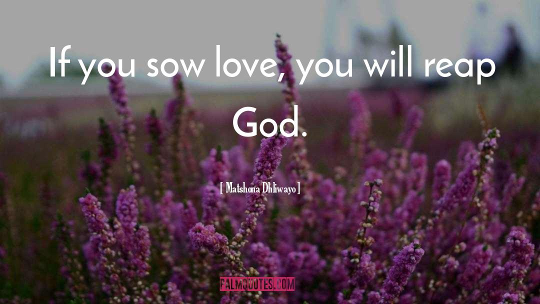 Sow quotes by Matshona Dhliwayo