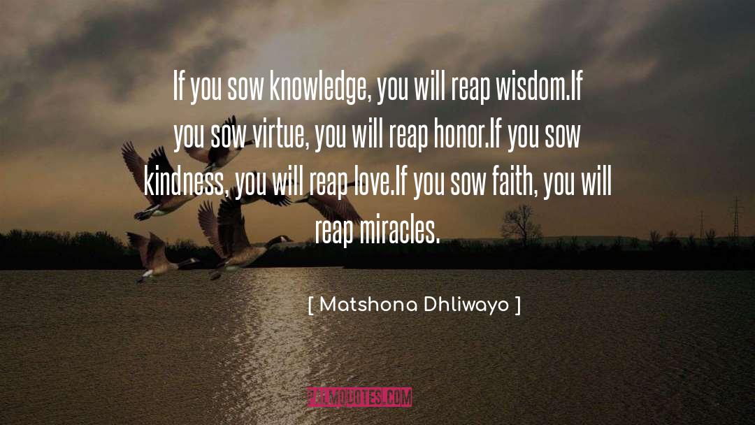 Sow quotes by Matshona Dhliwayo