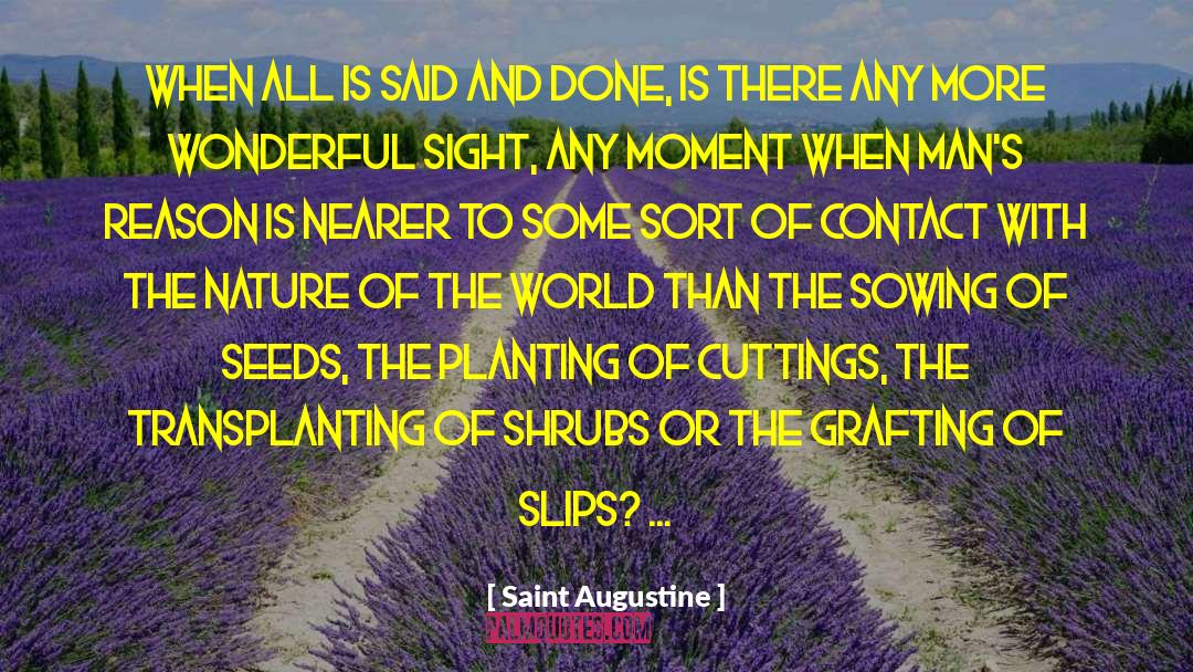 Sowing And Reaping quotes by Saint Augustine