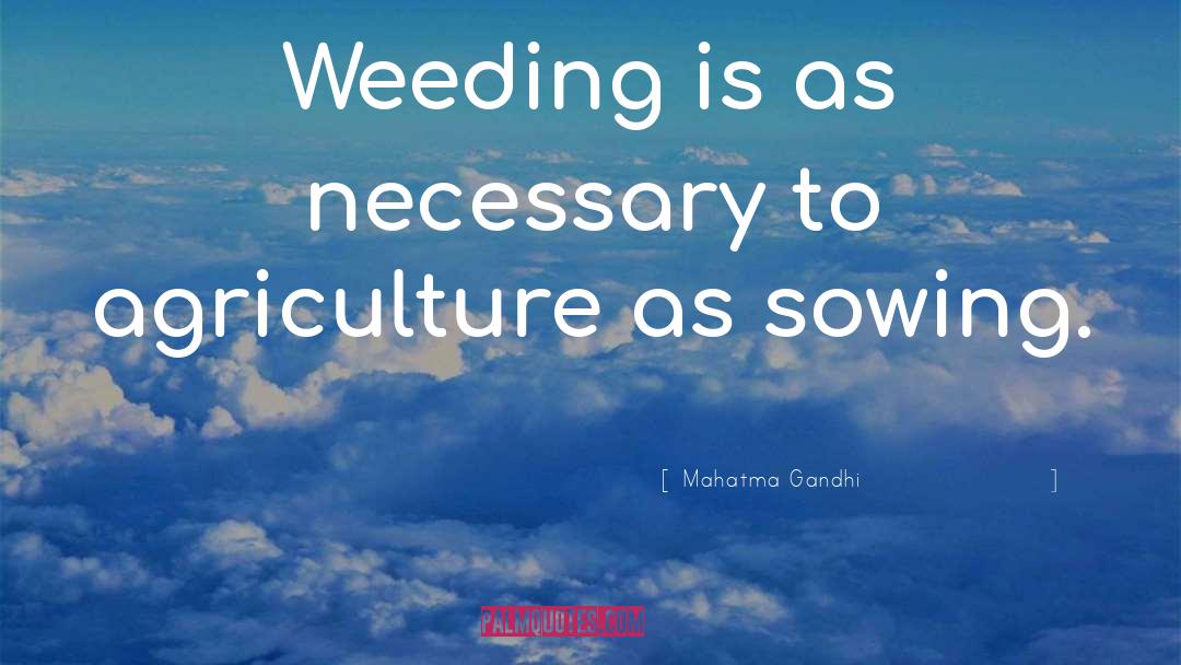 Sowing quotes by Mahatma Gandhi