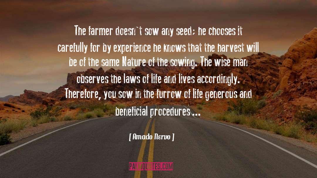 Sowing quotes by Amado Nervo