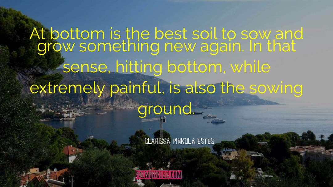 Sowing quotes by Clarissa Pinkola Estes