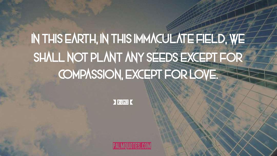 Sowing Seeds quotes by Rumi