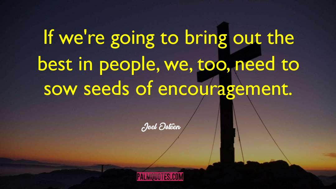 Sowing Seeds quotes by Joel Osteen