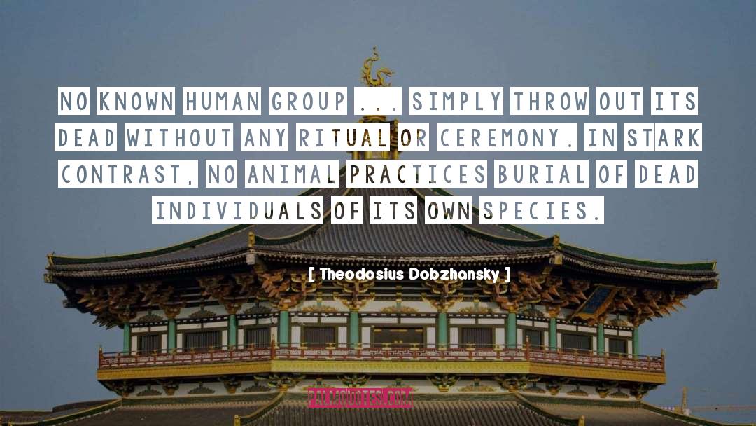 Soysal Group quotes by Theodosius Dobzhansky