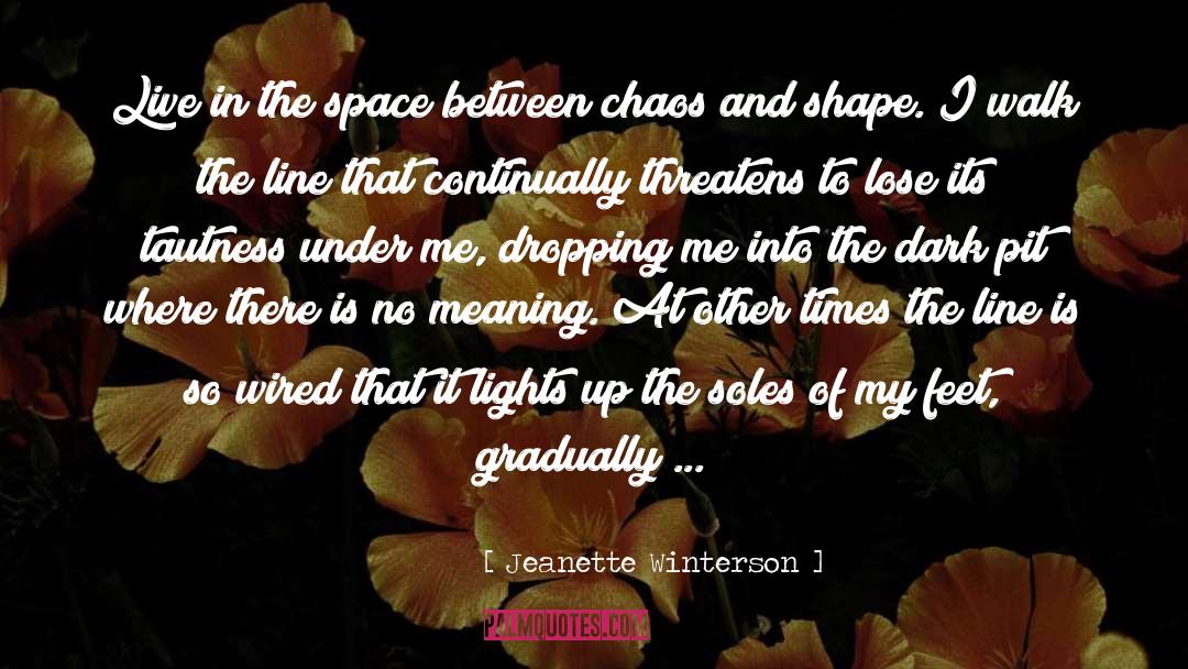 Space Between quotes by Jeanette Winterson