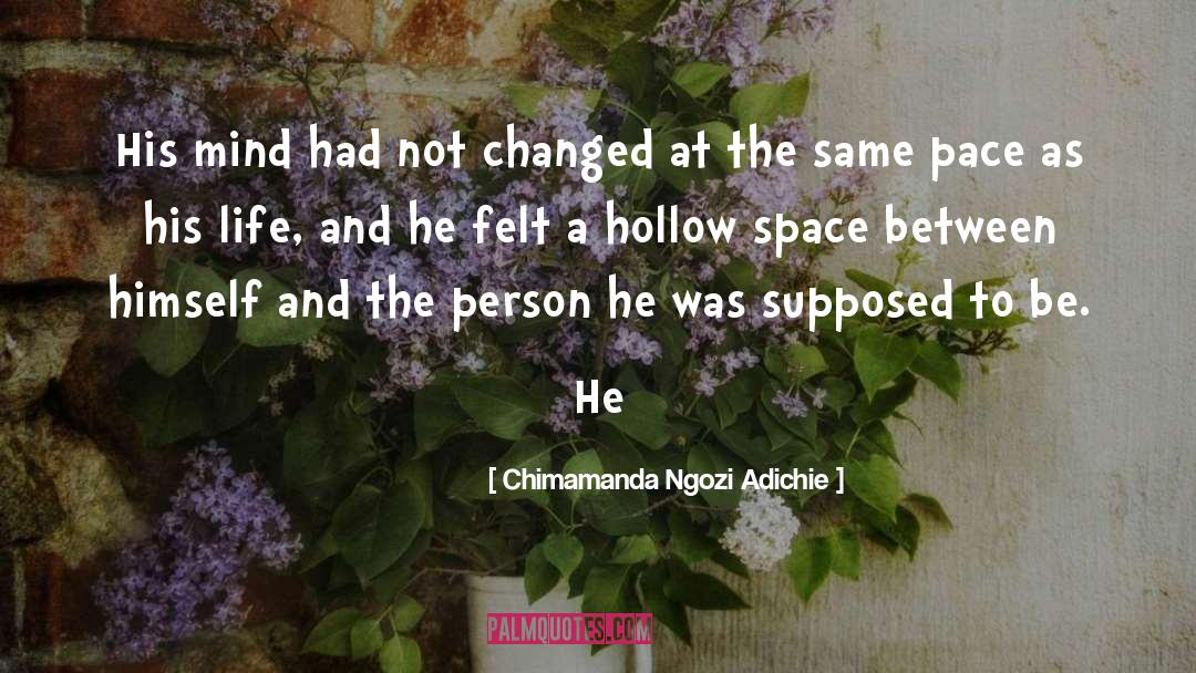 Space Between quotes by Chimamanda Ngozi Adichie