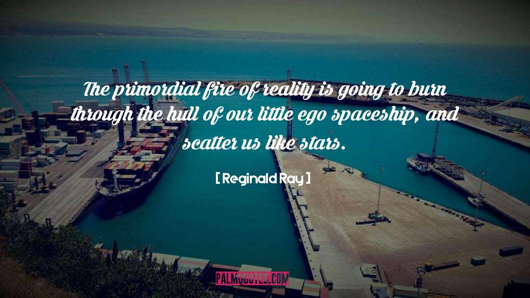 Spaceship quotes by Reginald Ray