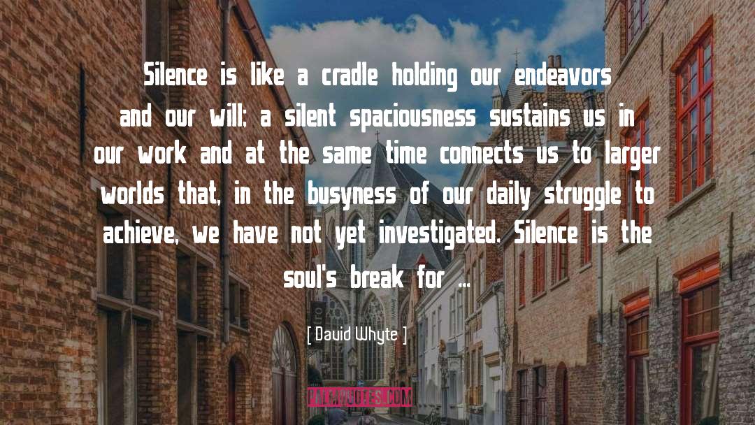 Spaciousness quotes by David Whyte