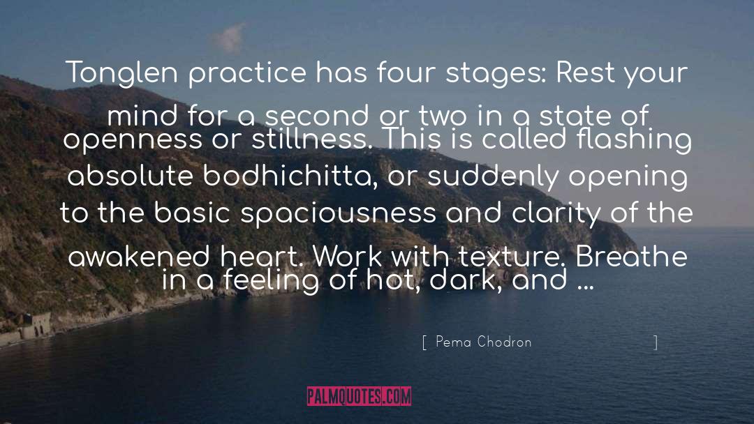 Spaciousness quotes by Pema Chodron