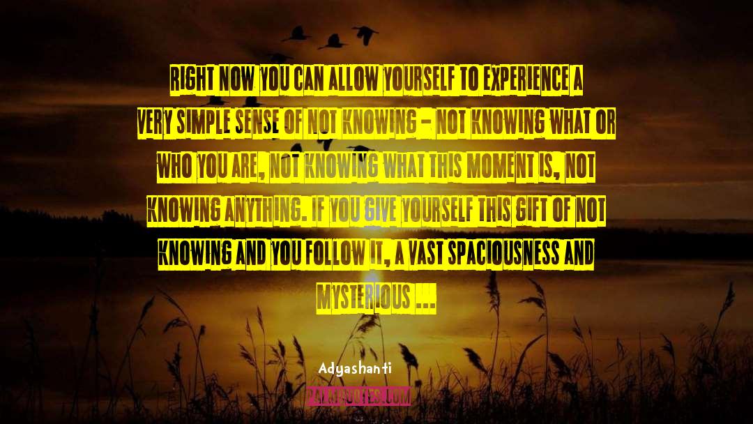 Spaciousness quotes by Adyashanti