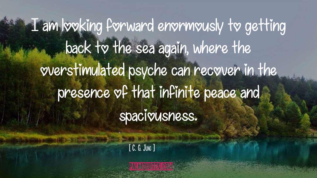 Spaciousness quotes by C. G. Jung