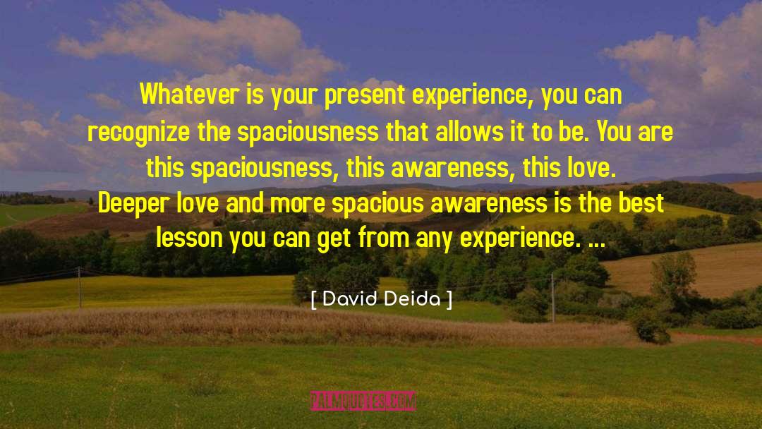 Spaciousness quotes by David Deida