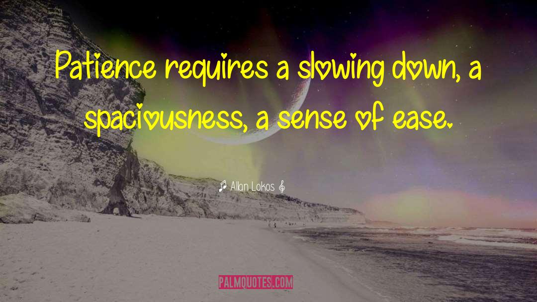 Spaciousness quotes by Allan Lokos