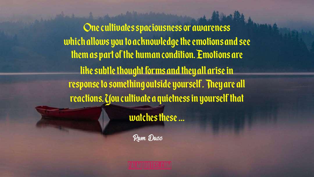 Spaciousness quotes by Ram Dass