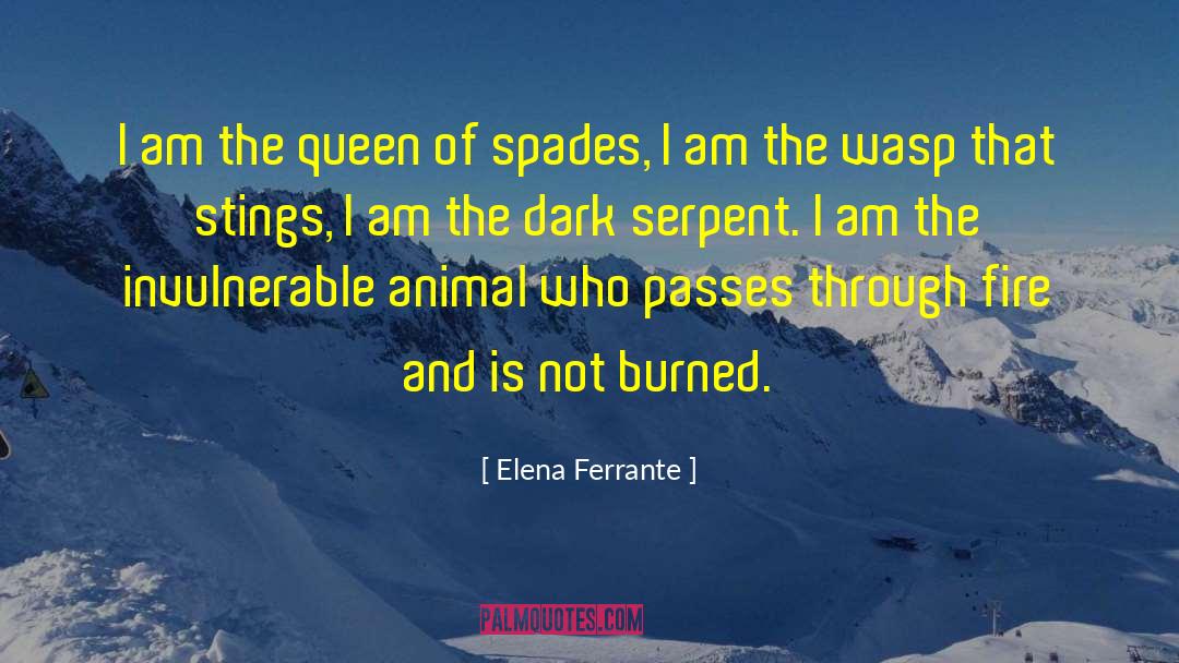Spades quotes by Elena Ferrante