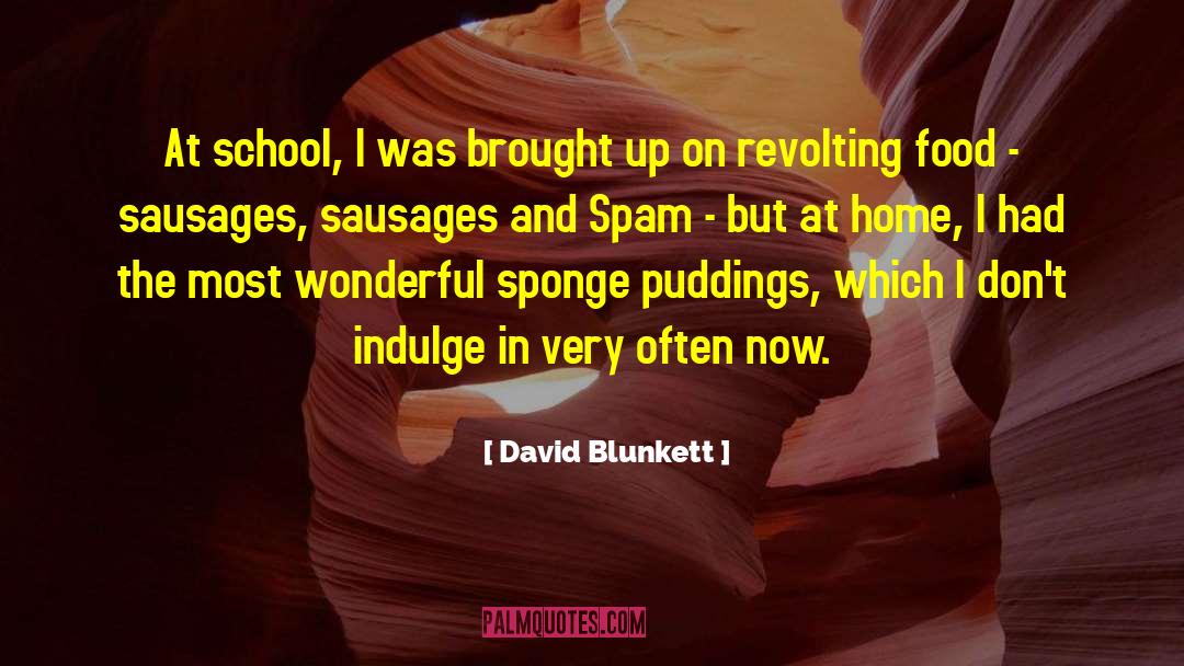 Spam quotes by David Blunkett