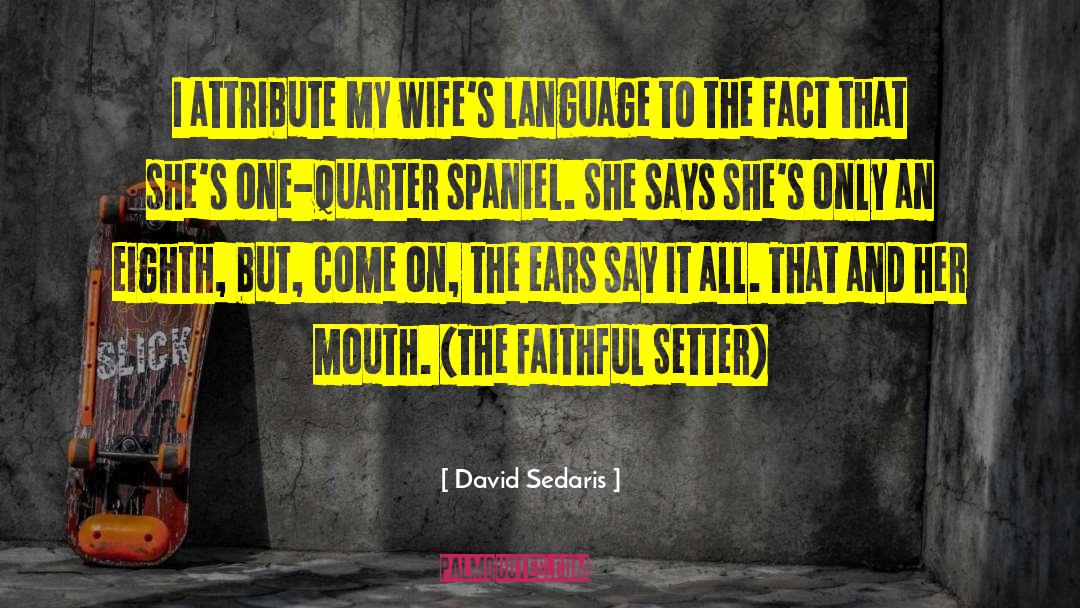 Spaniel quotes by David Sedaris