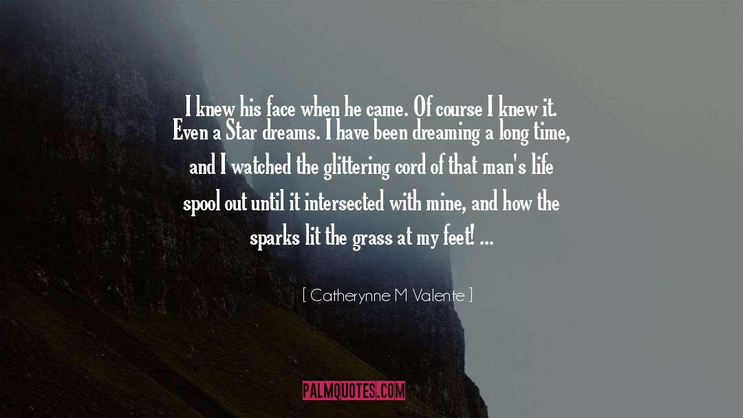 Sparks quotes by Catherynne M Valente